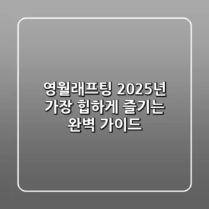 영월래프팅, 2025년 가장 '힙'하게 즐기는 완벽 가이드!