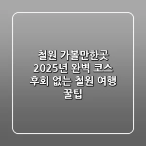 철원 가볼만한곳, 2025년 완벽 코스! 후회 없는 철원 여행 꿀팁
