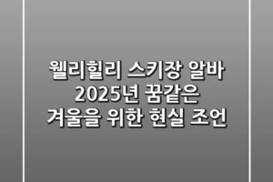 웰리힐리 스키장 알바, 2025년 꿈같은 겨울을 위한 현실 조언