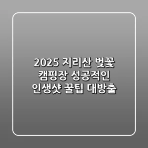 2025 지리산 벚꽃 캠핑장, 성공적인 인생샷 & 꿀팁 대방출!