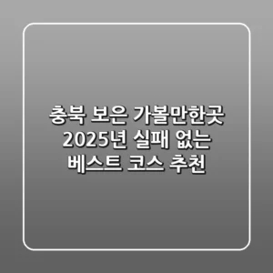 충북 보은 가볼만한곳: 2025년 실패 없는 베스트 코스 추천