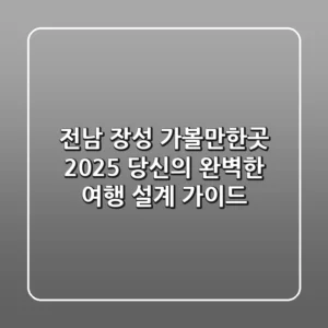 전남 장성 가볼만한곳: 2025 당신의 완벽한 여행 설계 가이드