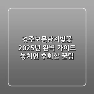 경주보문단지벚꽃, 2025년 완벽 가이드! 놓치면 후회할 꿀팁