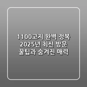 1100고지 완벽 정복: 2025년 최신 방문 꿀팁과 숨겨진 매력