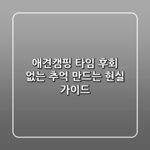 애견캠핑 타임, 후회 없는 추억 만드는 현실 가이드
