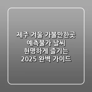 제주 겨울 가볼만한곳: 예측불가 날씨, 현명하게 즐기는 2025 완벽 가이드