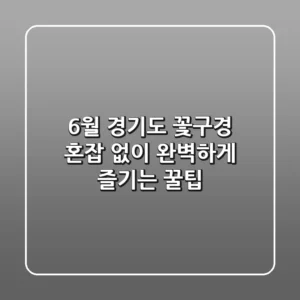 6월 경기도 꽃구경, 혼잡 없이 완벽하게 즐기는 꿀팁 🌸