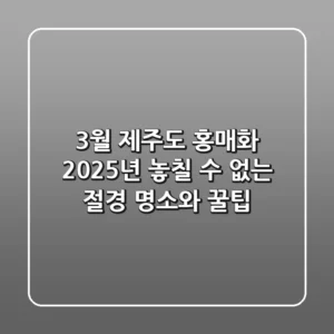 3월 제주도 홍매화: 2025년 놓칠 수 없는 절경 명소와 꿀팁