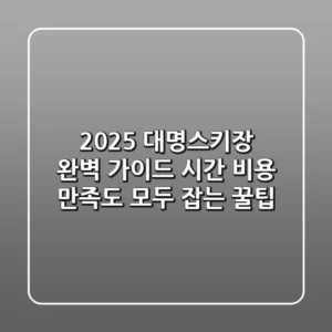 2025 대명스키장 완벽 가이드: 시간, 비용, 만족도 모두 잡는 꿀팁