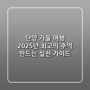 단양 가을 여행, 2025년 최고의 추억 만드는 실전 가이드