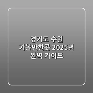 경기도 수원 가볼만한곳, 2025년 완벽 가이드!