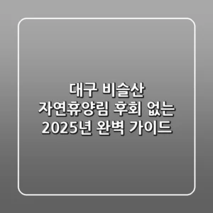 대구 비슬산 자연휴양림, 후회 없는 2025년 완벽 가이드