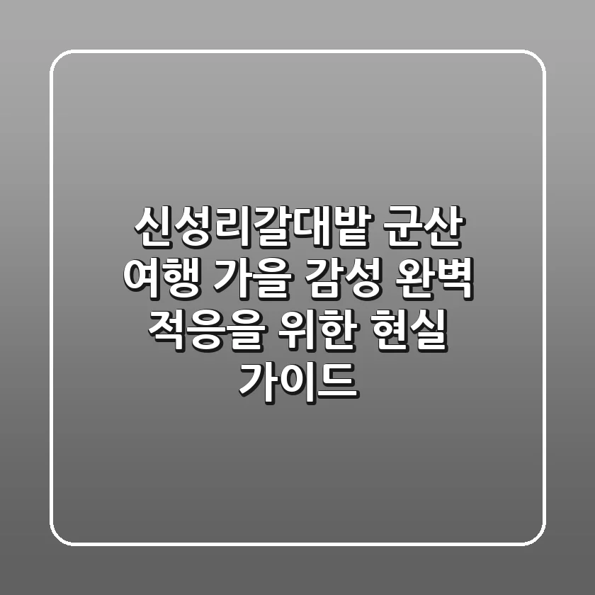 신성리갈대밭 군산 여행, 가을 감성 완벽 적응을 위한 현실 가이드