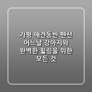 가평 애견동반 펜션 어느날, 강아지와 완벽한 힐링을 위한 모든 것