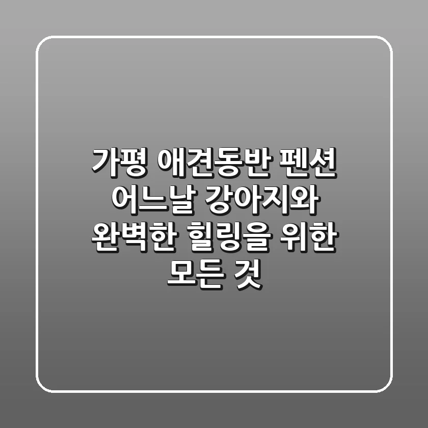 가평 애견동반 펜션 어느날, 강아지와 완벽한 힐링을 위한 모든 것