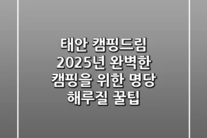 태안 캠핑드림, 2025년 완벽한 캠핑을 위한 명당 & 해루질 꿀팁