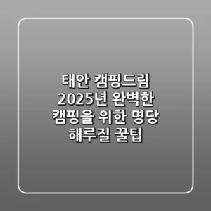 태안 캠핑드림, 2025년 완벽한 캠핑을 위한 명당 & 해루질 꿀팁