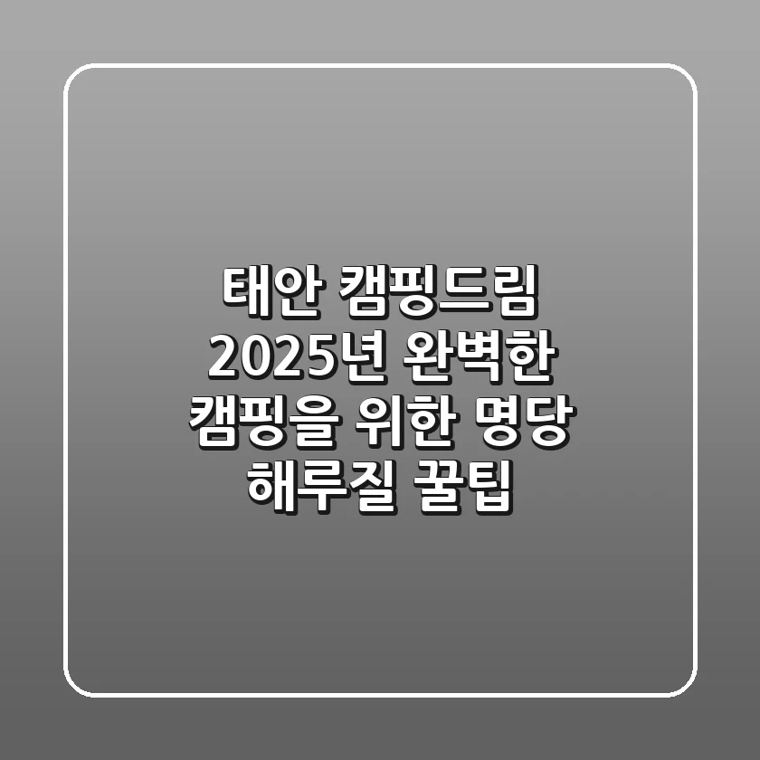 태안 캠핑드림, 2025년 완벽한 캠핑을 위한 명당 & 해루질 꿀팁