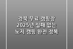 경북 무료 캠핑장, 2025년 실패 없는 노지 캠핑 완전 정복!