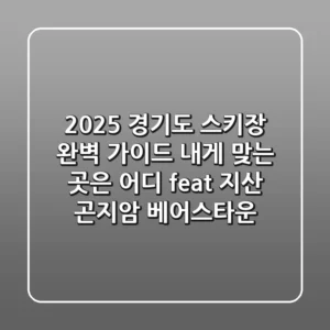 2025 경기도 스키장 완벽 가이드: 내게 맞는 곳은 어디? (feat. 지산, 곤지암, 베어스타운)