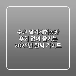 수원 딸기체험농장, 후회 없이 즐기는 2025년 완벽 가이드