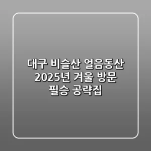 대구 비슬산 얼음동산, 2025년 겨울 방문 필승 공략집