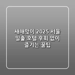 새해맞이! 2025 서울 일출 호텔, 후회 없이 즐기는 꿀팁