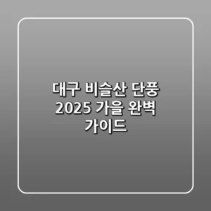 대구 비슬산 단풍, 2025 가을 완벽 가이드