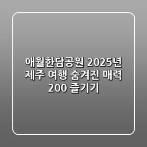 애월한담공원: 2025년 제주 여행, 숨겨진 매력 200% 즐기기