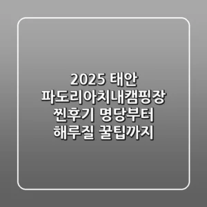 2025 태안 파도리아치내캠핑장 찐후기: 명당부터 해루질 꿀팁까지!