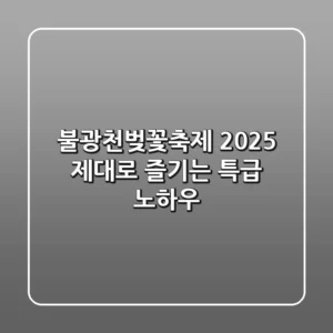 불광천벚꽃축제 2025, 제대로 즐기는 특급 노하우
