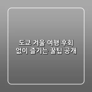 도쿄 겨울 여행, 후회 없이 즐기는 꿀팁 공개!