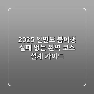 2025 안면도 봄여행: 실패 없는 완벽 코스 설계 가이드