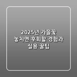 2025년 가을꽃, 놓치면 후회할 경험과 실용 꿀팁