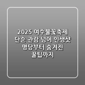 2025 여수불꽃축제, 단순 관람 넘어 인생샷 명당부터 숨겨진 꿀팁까지!