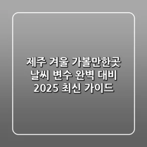 제주 겨울 가볼만한곳, 날씨 변수 완벽 대비 2025 최신 가이드