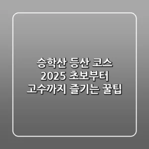 승학산 등산 코스: 2025 초보부터 고수까지 즐기는 꿀팁