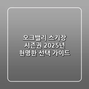 오크밸리 스키장 시즌권, 2025년 현명한 선택 가이드