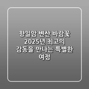 향일암 변산 바람꽃, 2025년 최고의 감동을 만나는 특별한 여정