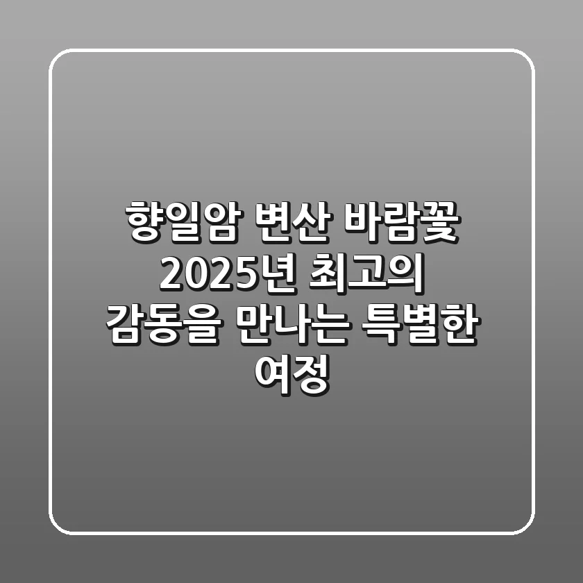 향일암 변산 바람꽃, 2025년 최고의 감동을 만나는 특별한 여정