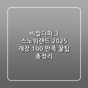 비발디파크 스노위랜드 2025 개장, 100% 만족 꿀팁 총정리!