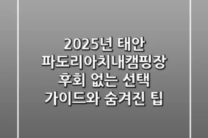 2025년 태안 파도리아치내캠핑장: 후회 없는 선택 가이드와 숨겨진 팁