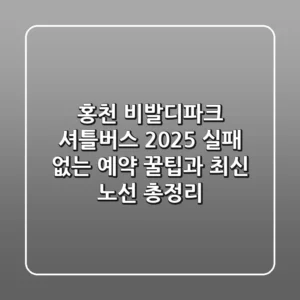 홍천 비발디파크 셔틀버스 2025: 실패 없는 예약 꿀팁과 최신 노선 총정리