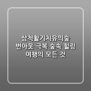 삼척활기치유의숲: 번아웃 극복 숲속 힐링 여행의 모든 것