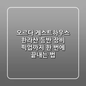 오르다 게스트하우스: 한라산 등반, 장비, 픽업까지 한 번에 끝내는 법