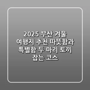 2025 부산 겨울 여행지 추천: 따뜻함과 특별함, 두 마리 토끼 잡는 코스!