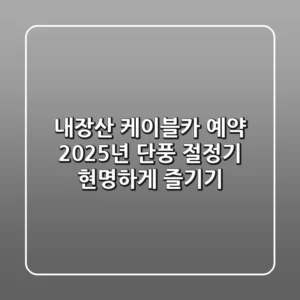 내장산 케이블카 예약: 2025년 단풍 절정기 현명하게 즐기기
