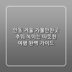 안동 겨울 가볼만한곳, 추위 녹이는 따뜻한 여행 완벽 가이드
