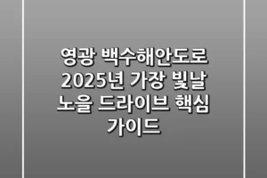 영광 백수해안도로, 2025년 가장 빛날 노을 드라이브 핵심 가이드