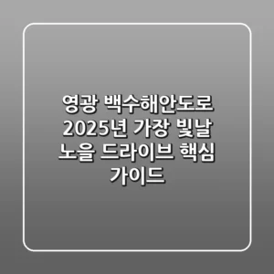 영광 백수해안도로, 2025년 가장 빛날 노을 드라이브 핵심 가이드